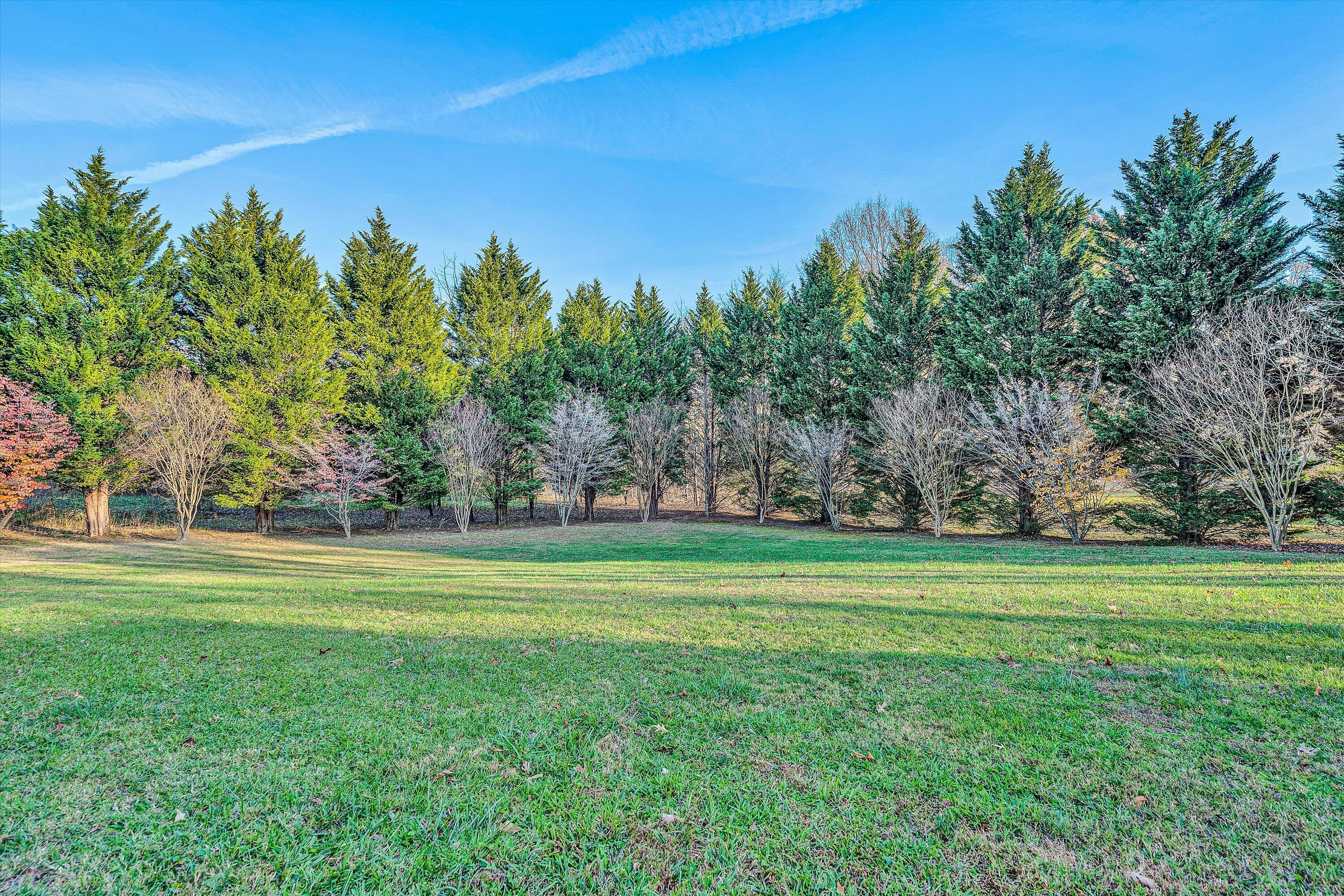 733 Tyler Road Salem, VA 24153 - Photo 44 of 60 44-SGM-06307