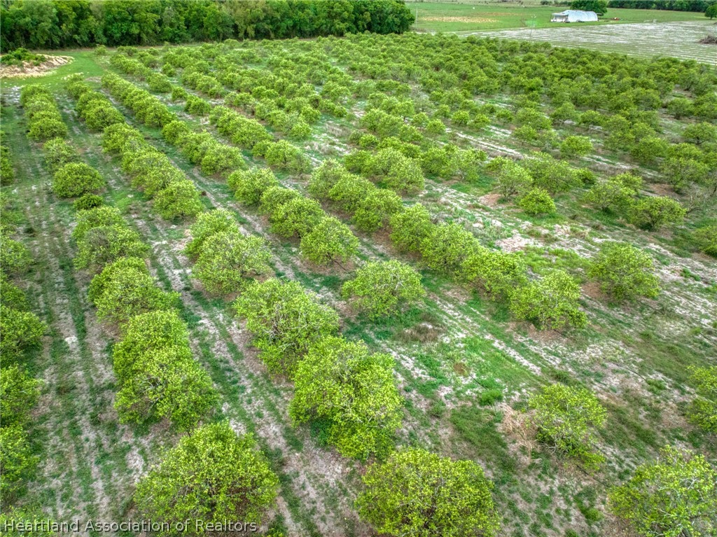 0 North Bailey Road Wauchula, FL 33873 - Photo 3 of 11 a view of a big yard with plants and large trees
