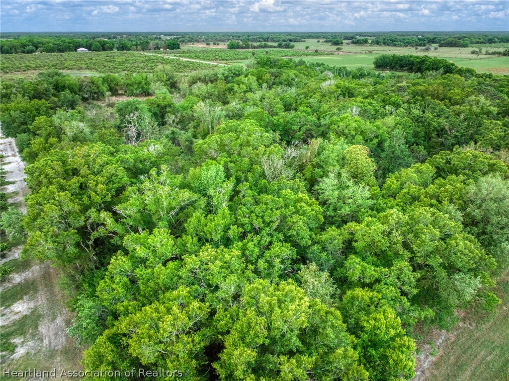 0 North Bailey Road Wauchula, FL 33873 - Photo 6 of 11 a view of a lush green space