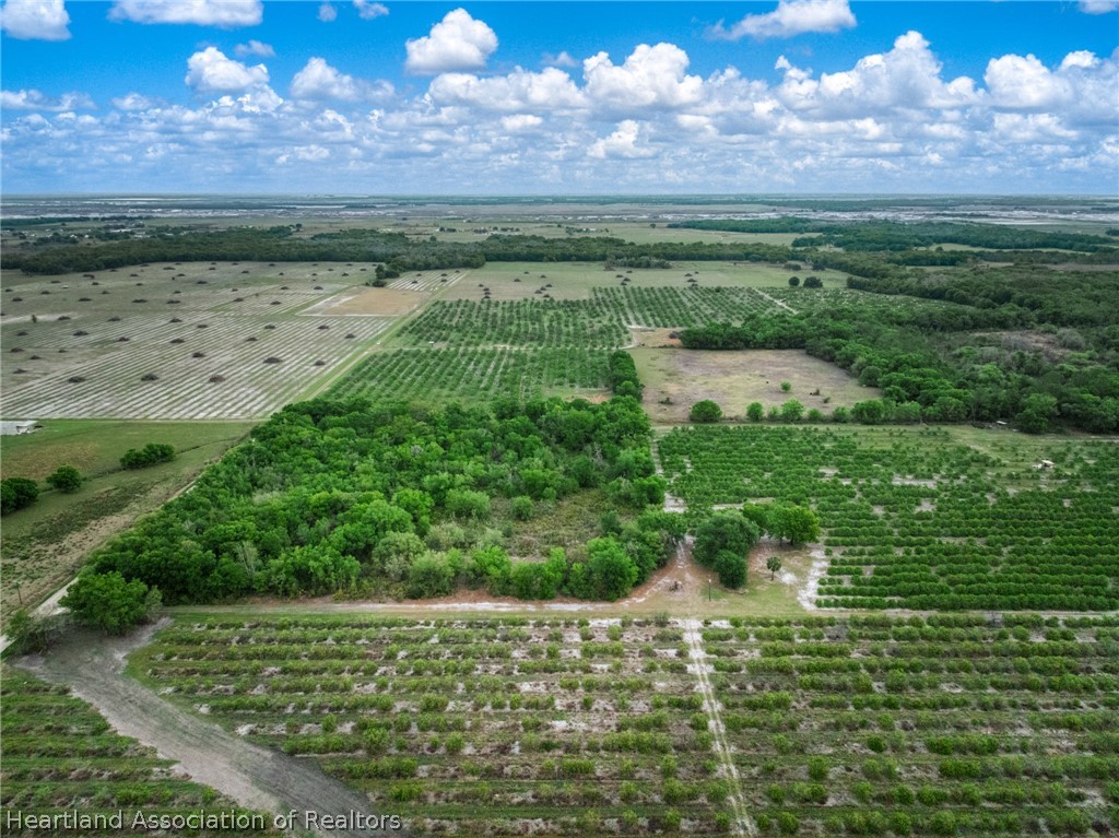 0 North Bailey Road Wauchula, FL 33873 - Photo 9 of 11 a view of a lake in a yard