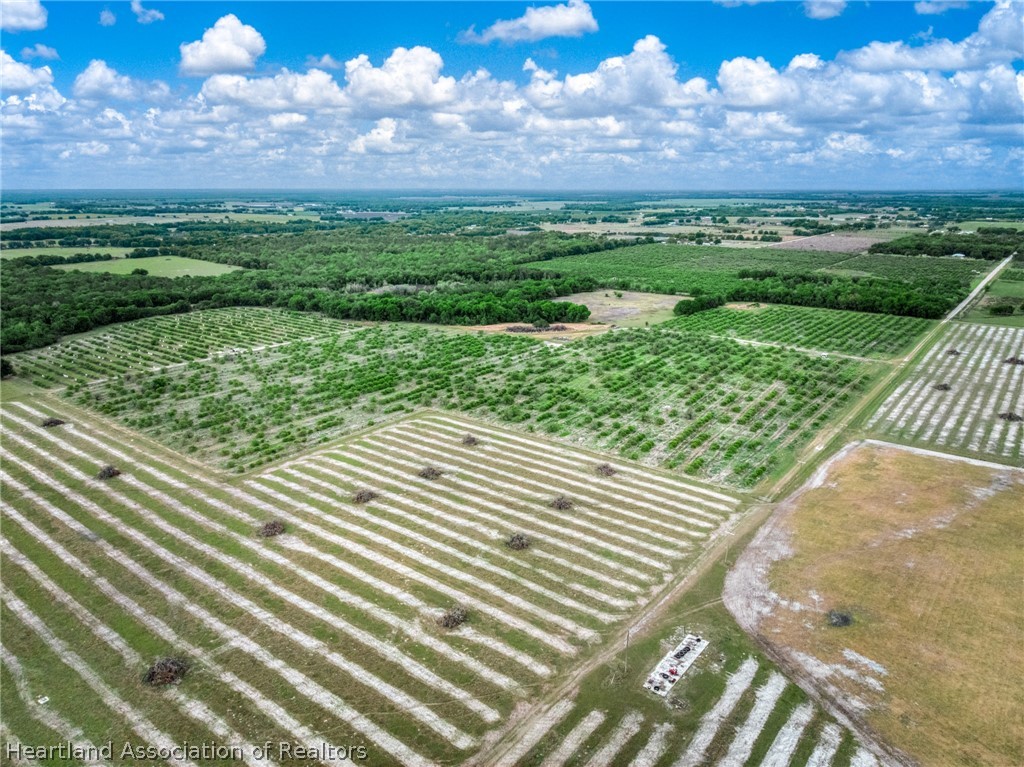 0 North Bailey Road Wauchula, FL 33873 - Photo 10 of 11 a view of a city with a garden