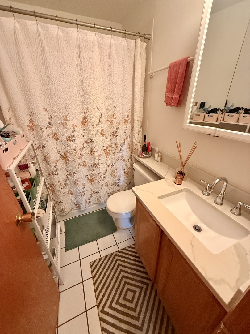 626 West Patterson Avenue, Unit 3W Chicago, IL 60613 - Photo 9 of 11 a bathroom with a sink and a mirror