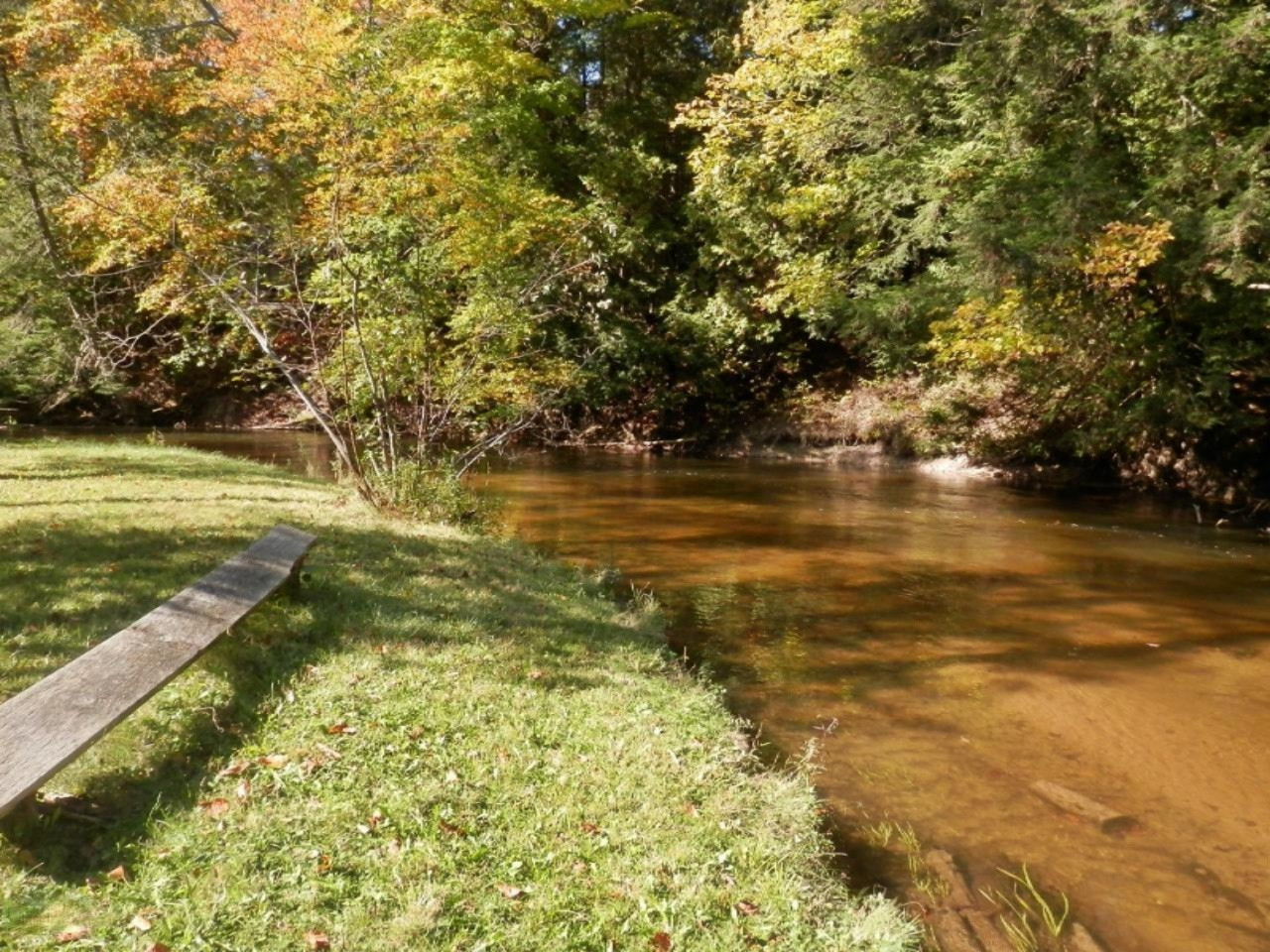 14876 Old Grade Road Thompsonville, MI 49683 - Photo 1 of 25 Beautiful low bluff frontage