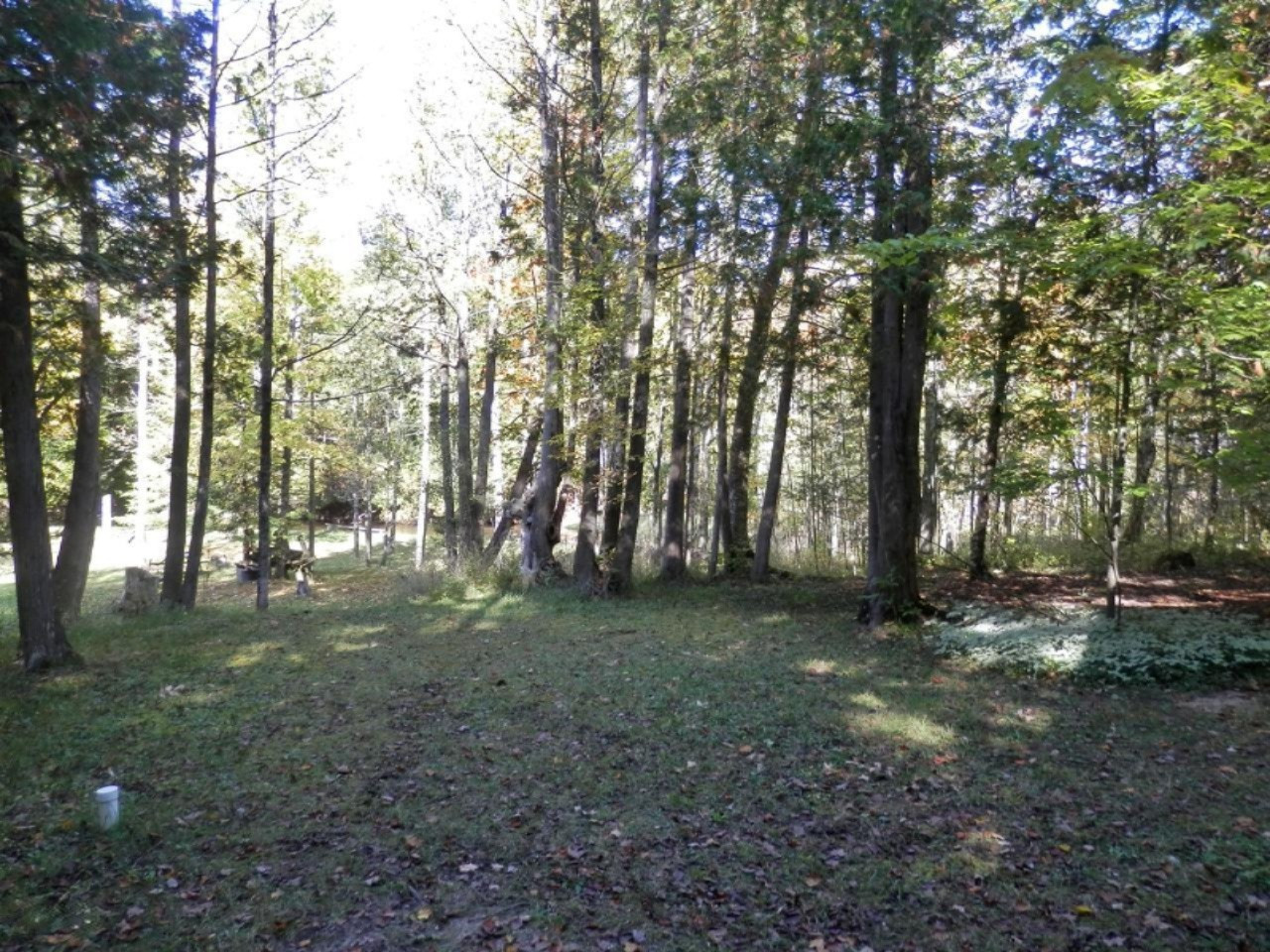 14876 Old Grade Road Thompsonville, MI 49683 - Photo 18 of 25 Wooded setting plus yard area