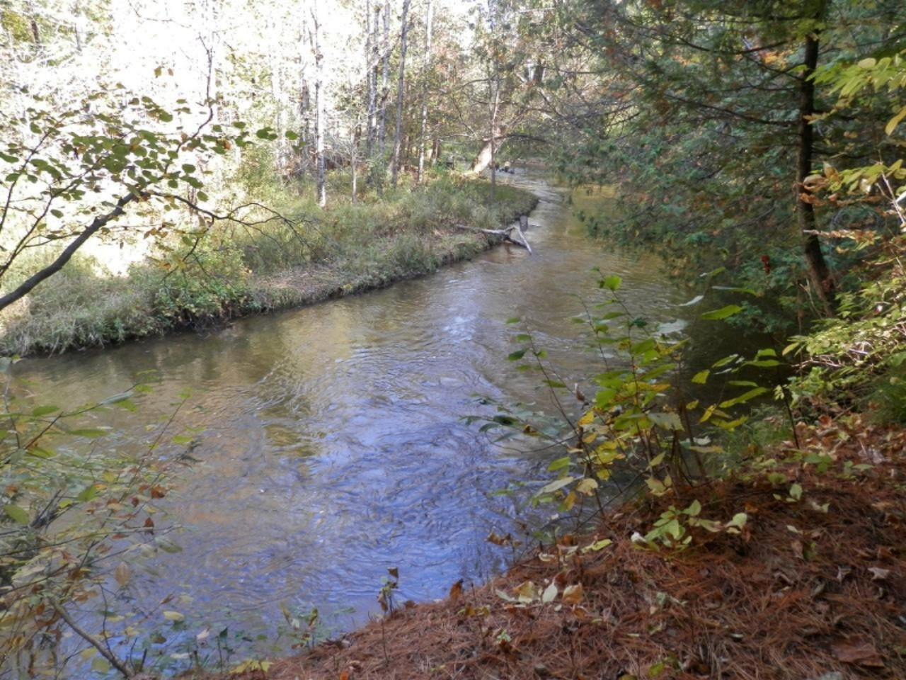 14876 Old Grade Road Thompsonville, MI 49683 - Photo 23 of 25 River from extra vacant lot