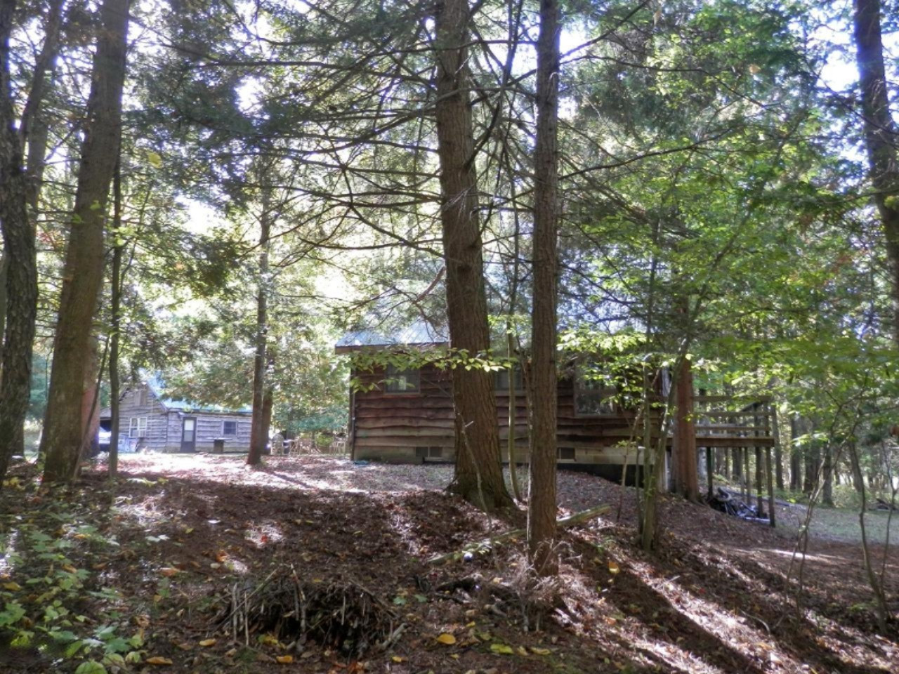 14876 Old Grade Road Thompsonville, MI 49683 - Photo 3 of 25 House in front w/cabin behind