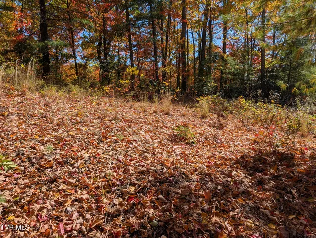 $47,500 | 1205 Mays Ridge Road, Unit 13, Butler, TN 37640