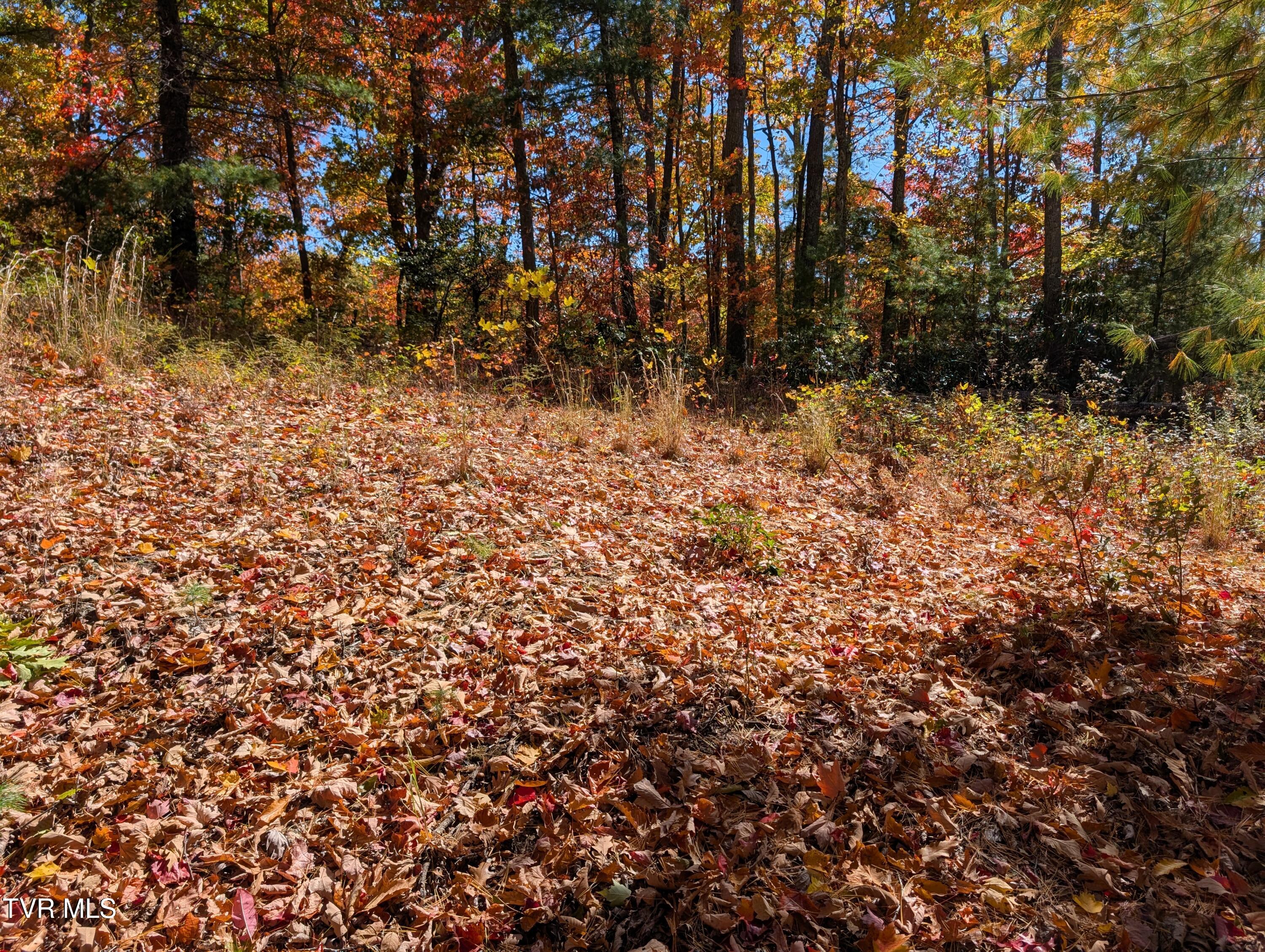 1205 Mays Ridge Road, Unit 13 Butler, TN 37640 - Photo 11 of 15 PXL_20251022_172122089.MP