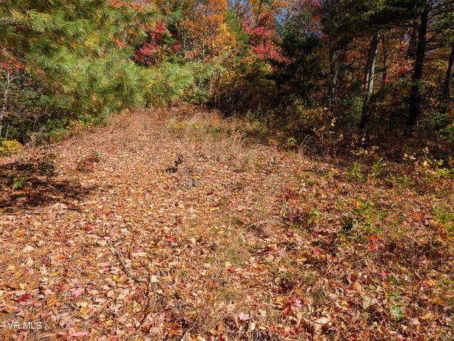 $47,500 | 1205 Mays Ridge Road, Unit 13, Butler, TN 37640