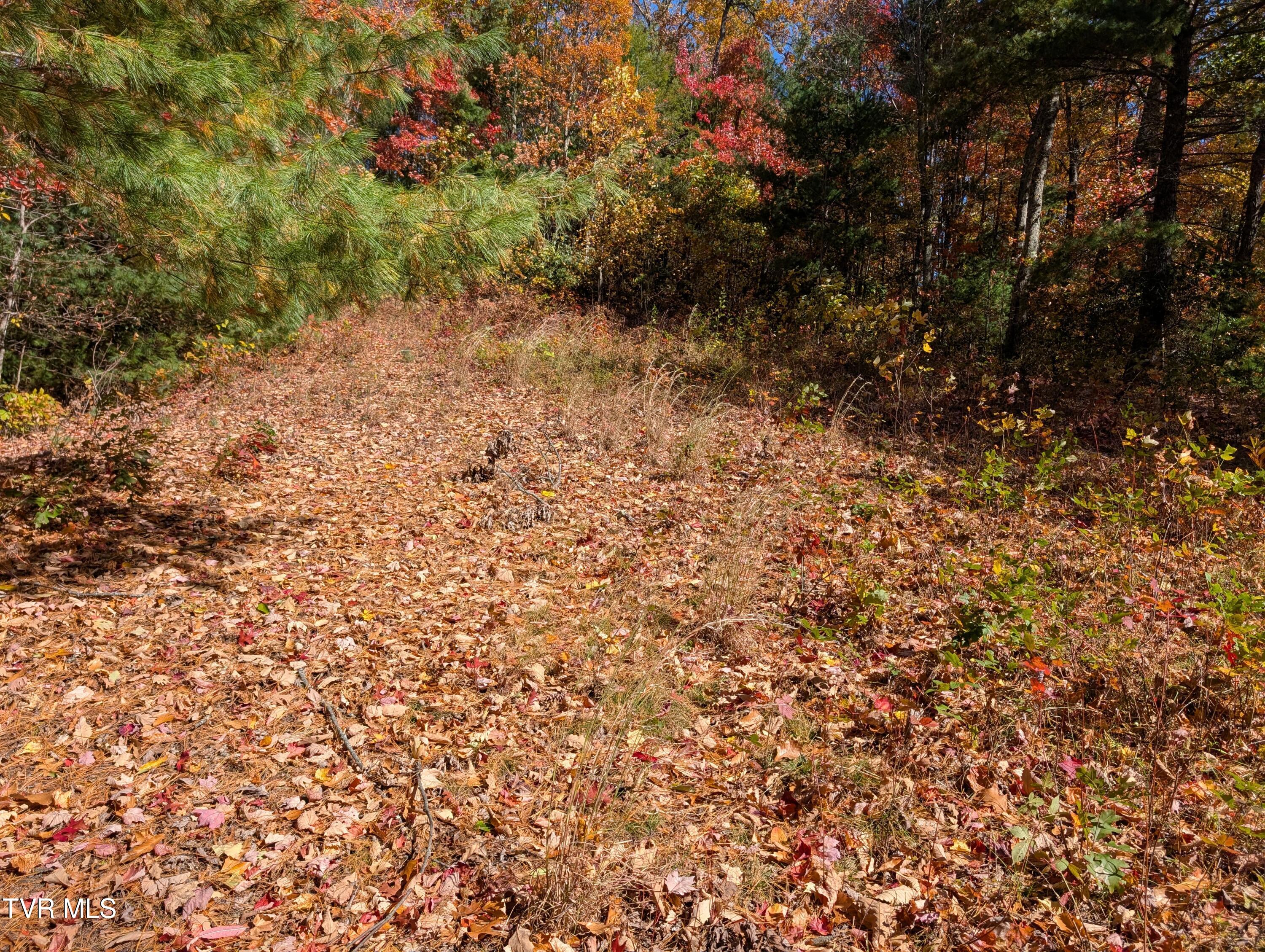 1205 Mays Ridge Road, Unit 13 Butler, TN 37640 - Photo 13 of 15 PXL_20251022_172216078