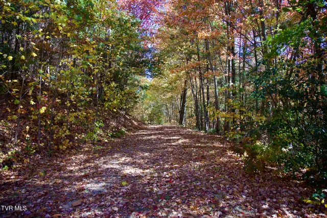 $47,500 | 1205 Mays Ridge Road, Unit 13, Butler, TN 37640