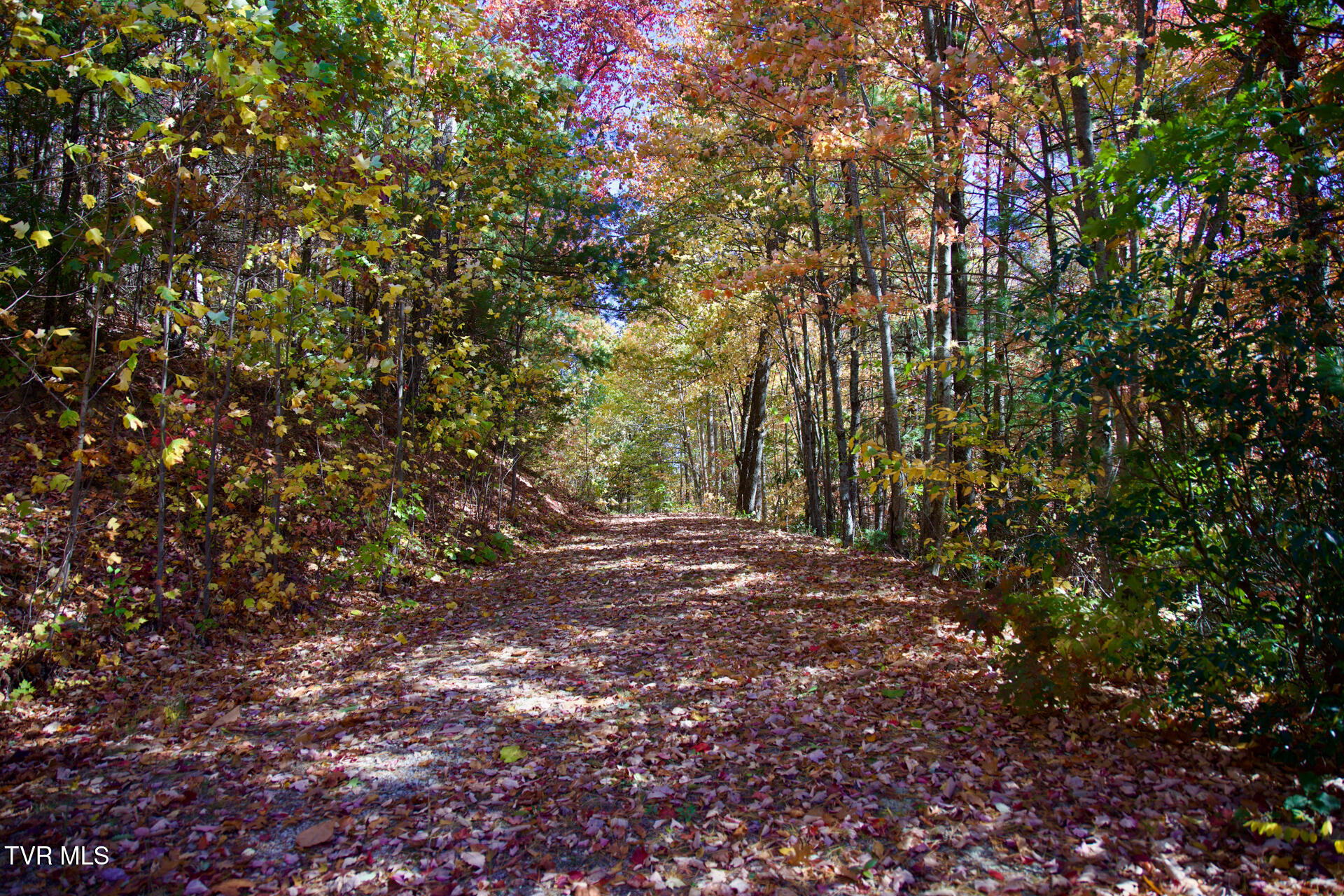 1205 Mays Ridge Road, Unit 13 Butler, TN 37640 - Photo 6 of 15 Mays Ridge-Private Rd to Lot