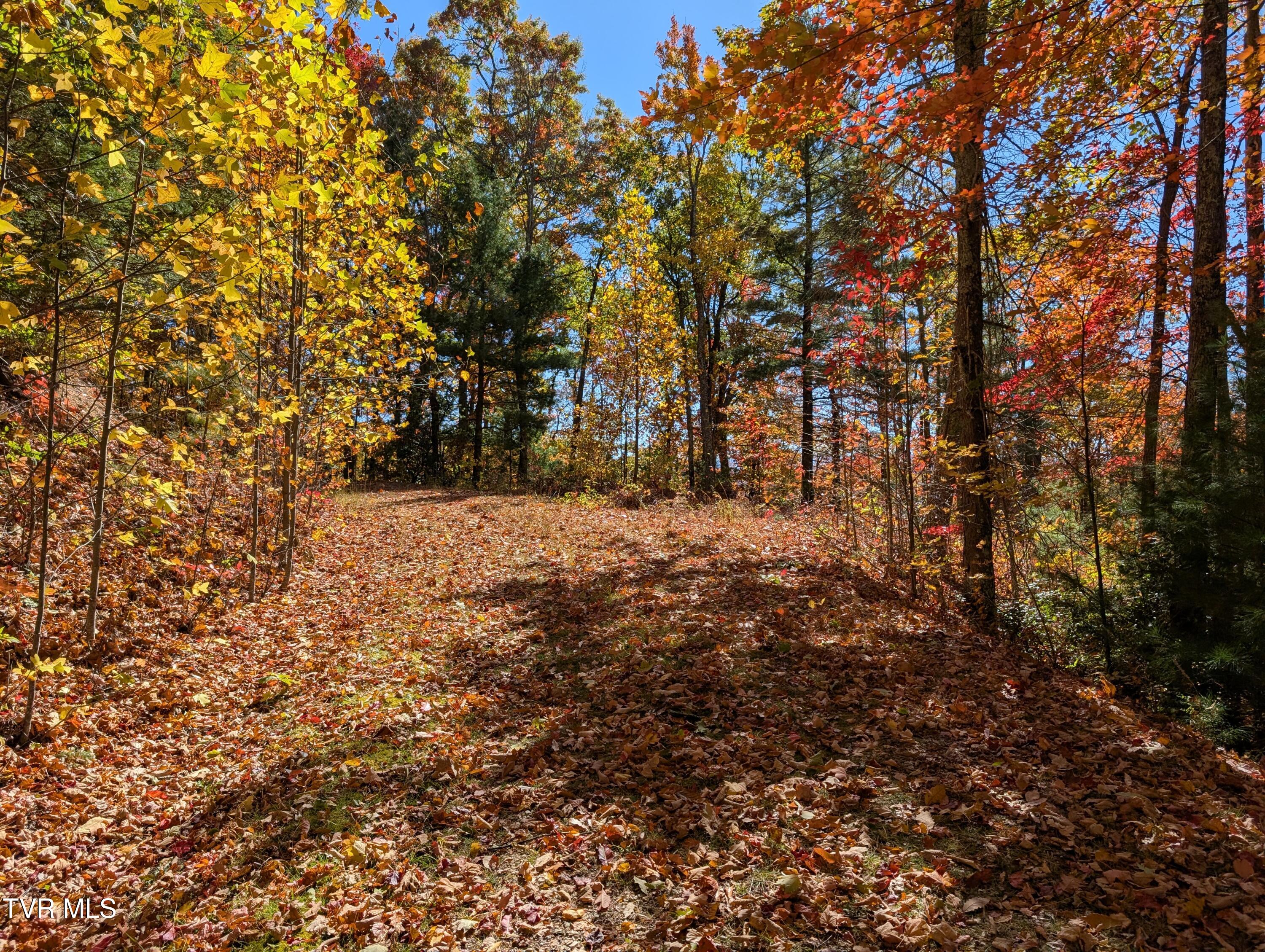 1205 Mays Ridge Road, Unit 13 Butler, TN 37640 - Photo 7 of 15 PXL_20251022_171545699