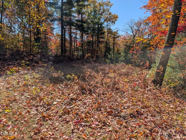 $47,500 | 1205 Mays Ridge Road, Unit 13, Butler, TN 37640