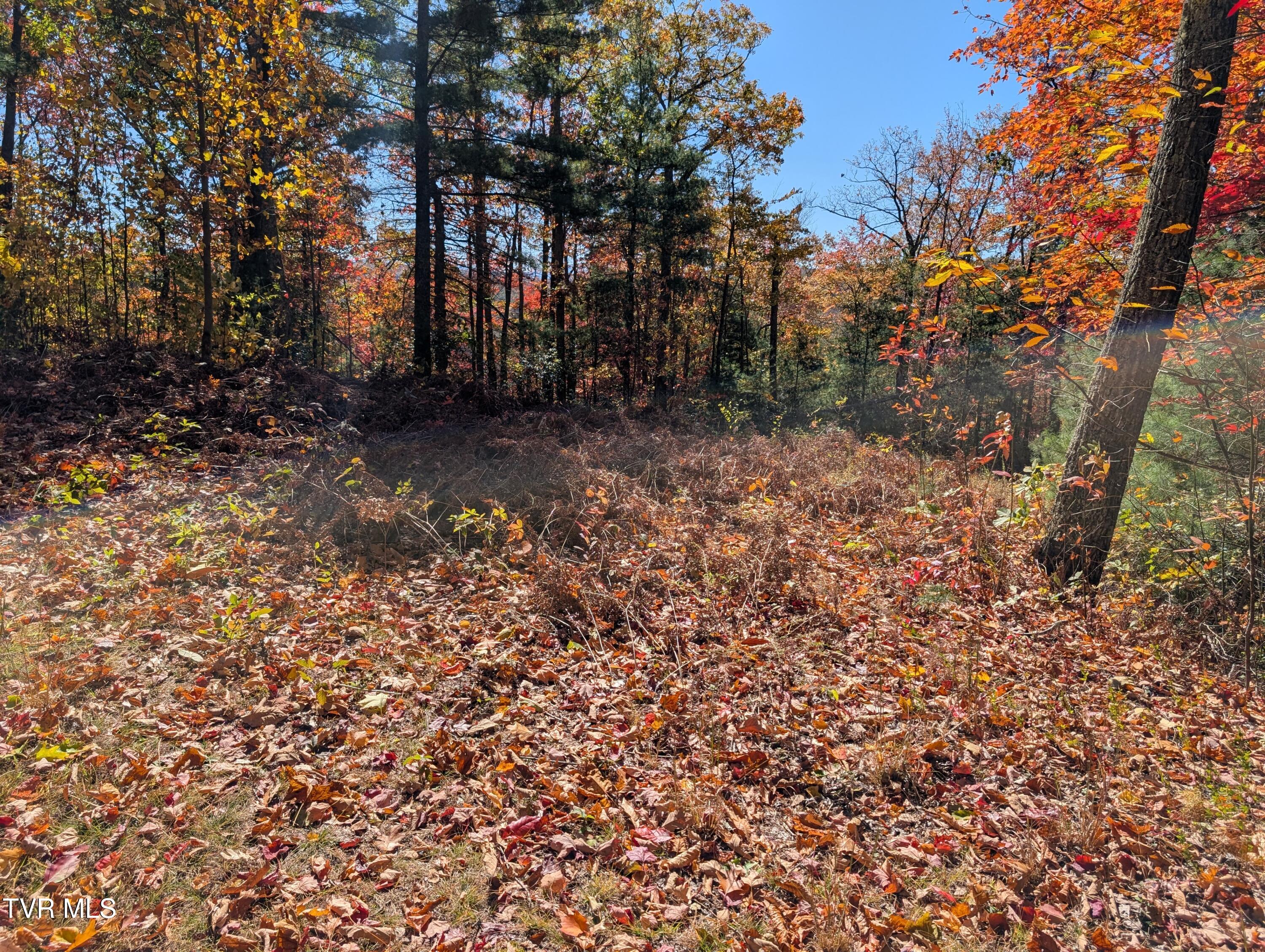 1205 Mays Ridge Road, Unit 13 Butler, TN 37640 - Photo 8 of 15 PXL_20251022_171603201.MP