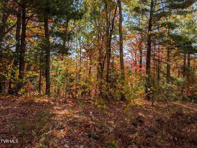 $47,500 | 1205 Mays Ridge Road, Unit 13, Butler, TN 37640