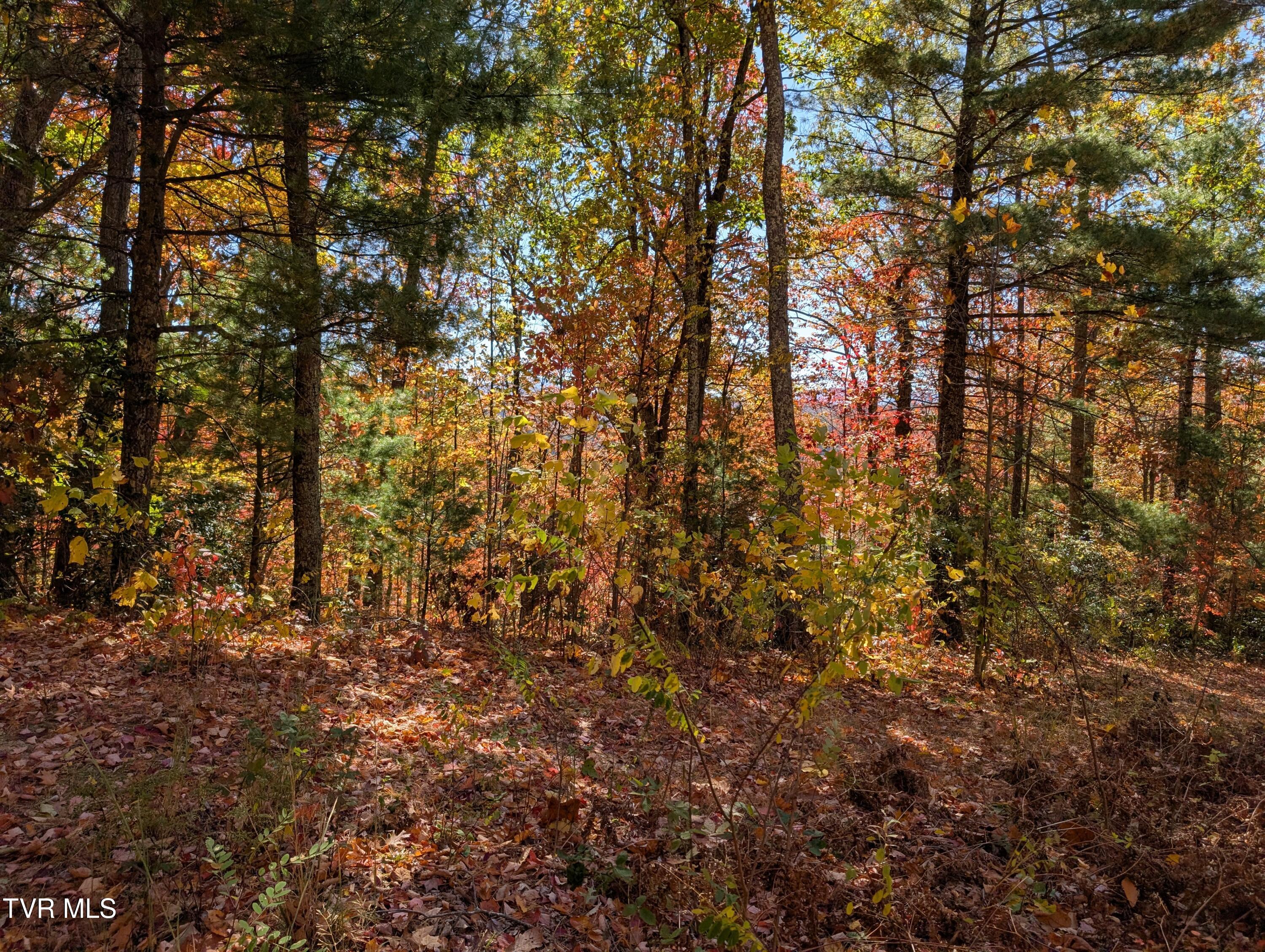 1205 Mays Ridge Road, Unit 13 Butler, TN 37640 - Photo 9 of 15 PXL_20251022_171643610