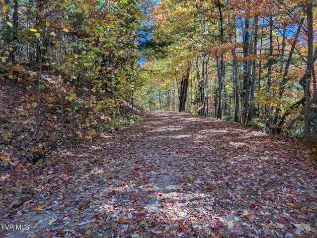 $47,500 | 1205 Mays Ridge Road, Unit 13, Butler, TN 37640