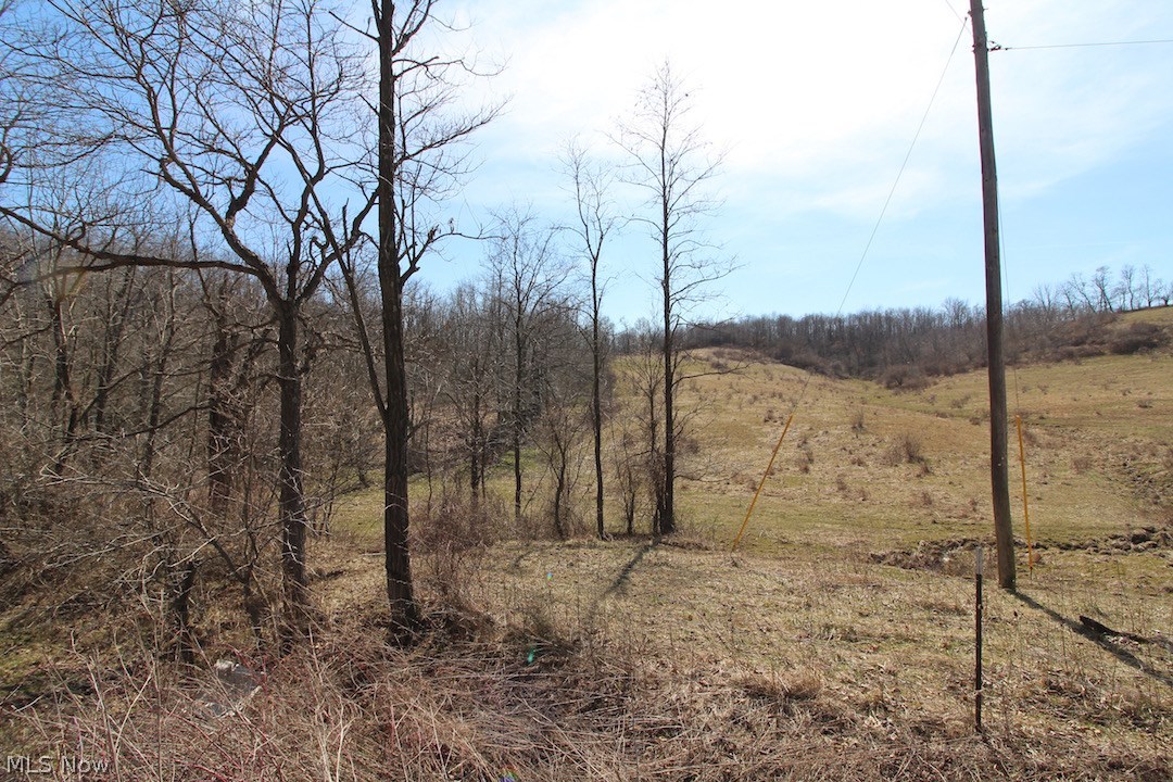 145 State Route Woodsfield, OH 43793 - Photo 23 of 31