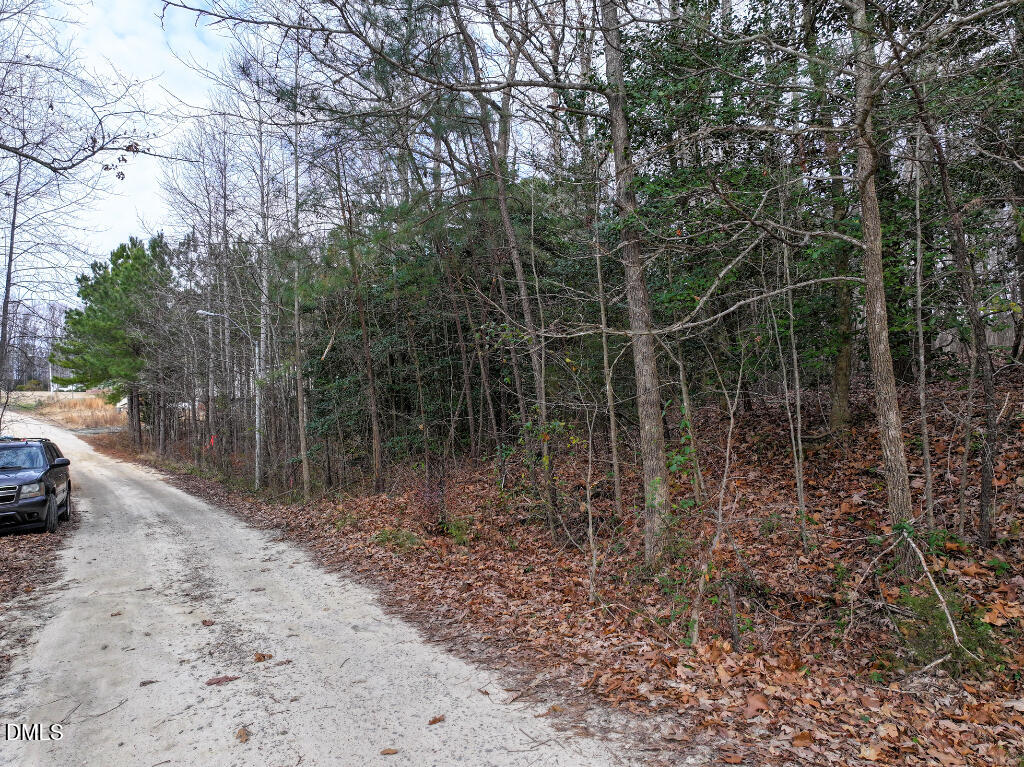 55 Spring Lane Henderson, NC 27537 - Photo 11 of 17 a view of a yard with trees