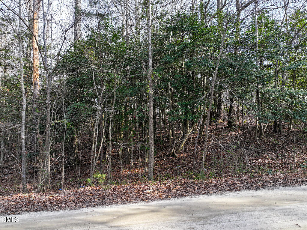 55 Spring Lane Henderson, NC 27537 - Photo 12 of 17 a view of a forest filled with trees