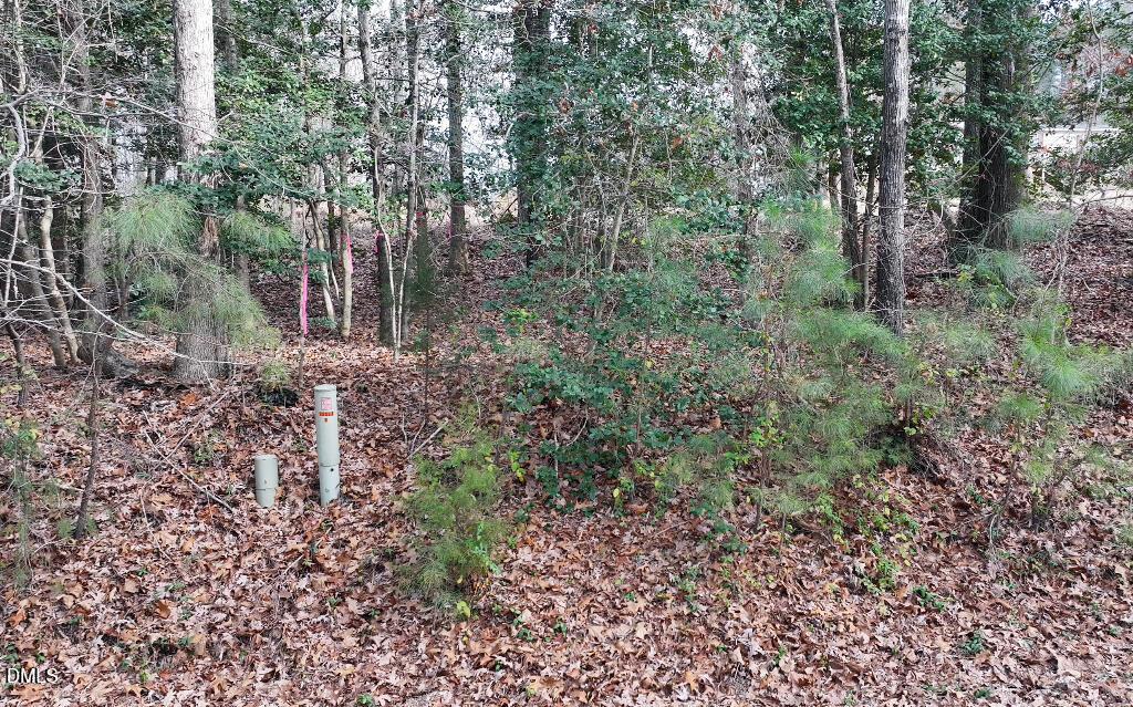 55 Spring Lane Henderson, NC 27537 - Photo 13 of 17 a view of a forest with lots of trees