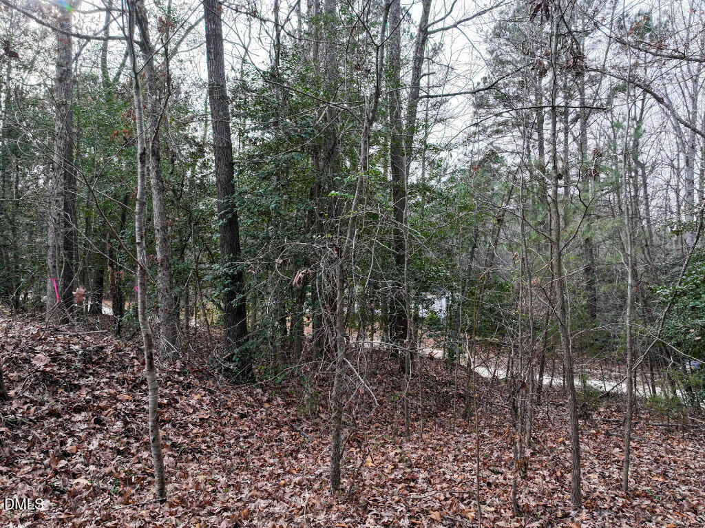 55 Spring Lane Henderson, NC 27537 - Photo 14 of 17 a view of a forest filled with trees