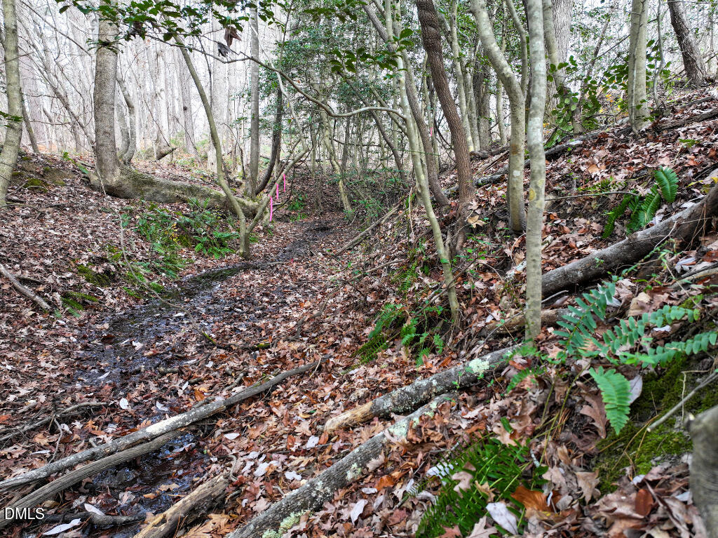 55 Spring Lane Henderson, NC 27537 - Photo 15 of 17 a view of forest