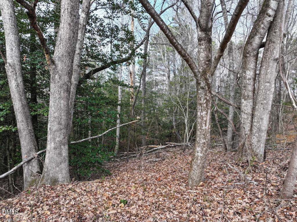 55 Spring Lane Henderson, NC 27537 - Photo 16 of 17 a view of a forest filled with trees
