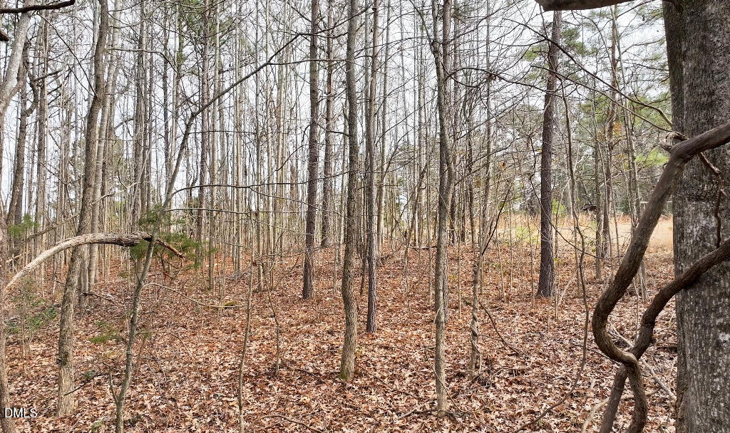 55 Spring Lane Henderson, NC 27537 - Photo 17 of 17