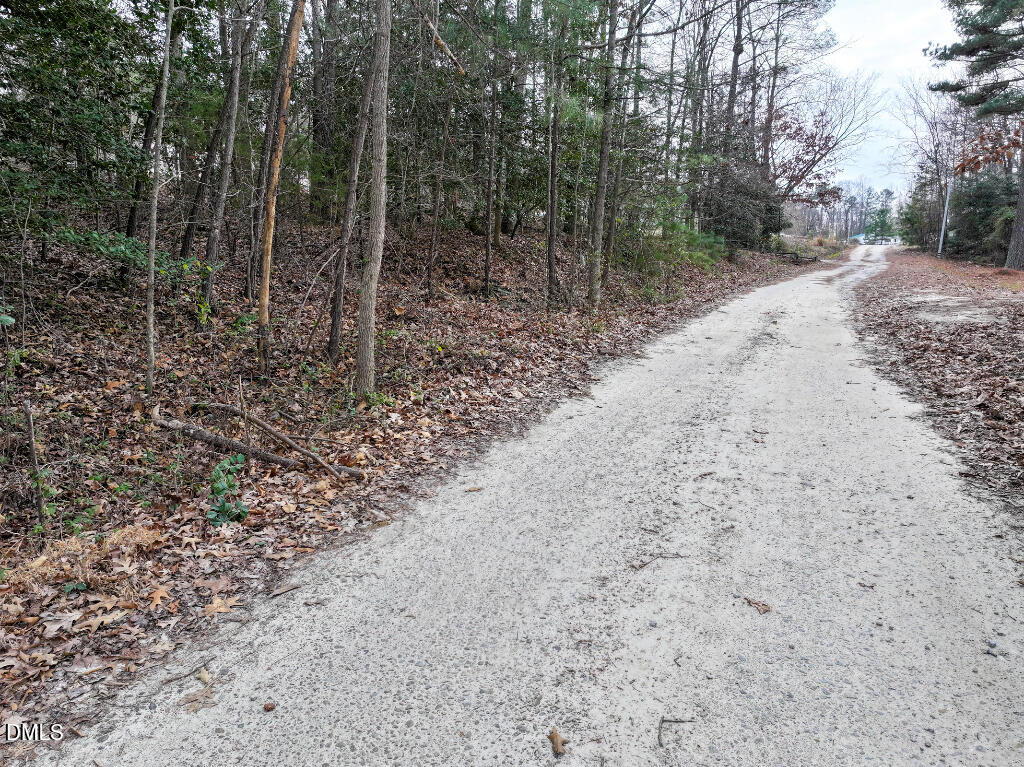 55 Spring Lane Henderson, NC 27537 - Photo 10 of 17 a view of a forest with trees