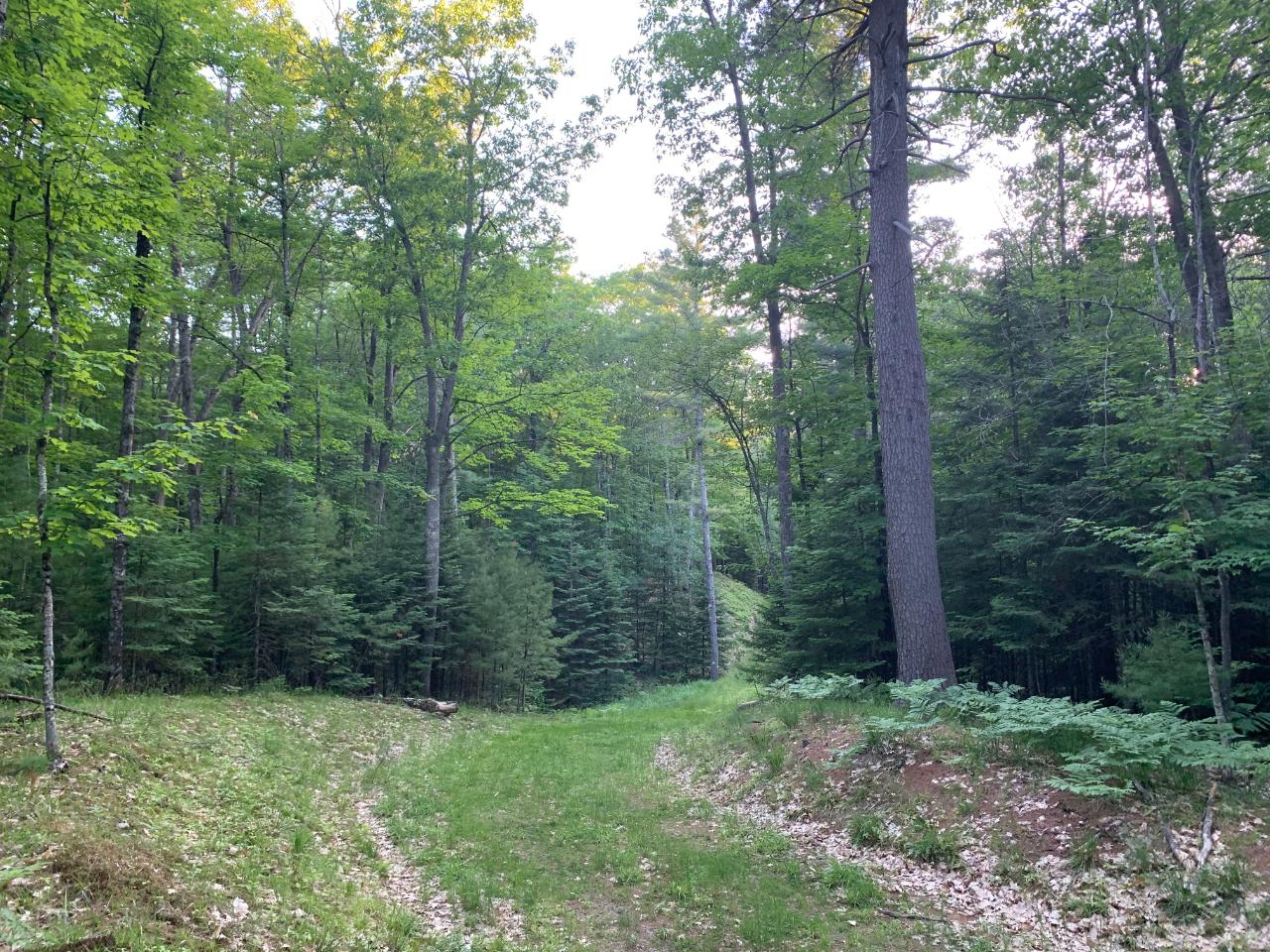 On Interlocken Road, Unit LOT 4 Hazelhurst, WI 54531 - Photo 6 of 17 Gallery Image 6