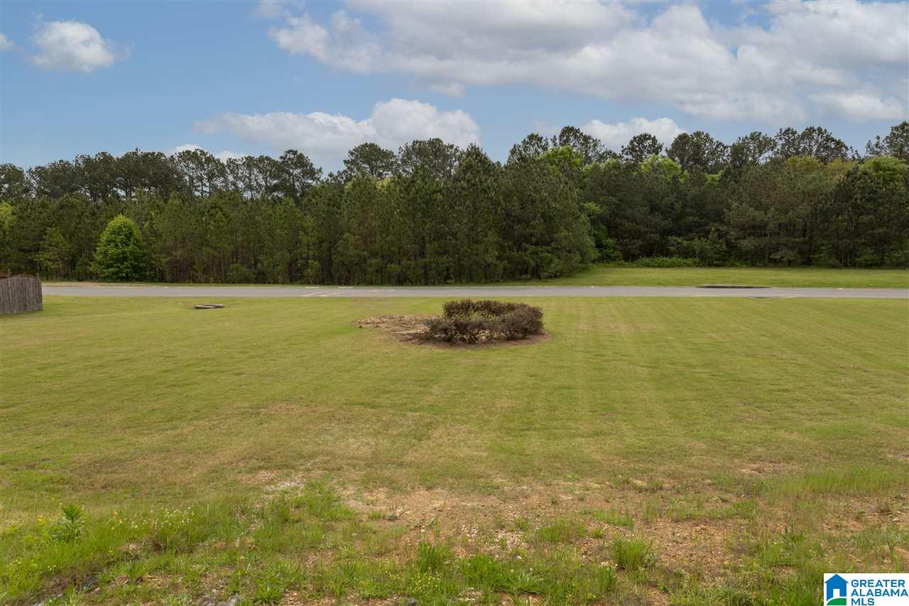 2022 Preston Lane Chelsea, AL 35043 - Photo 11 of 35
