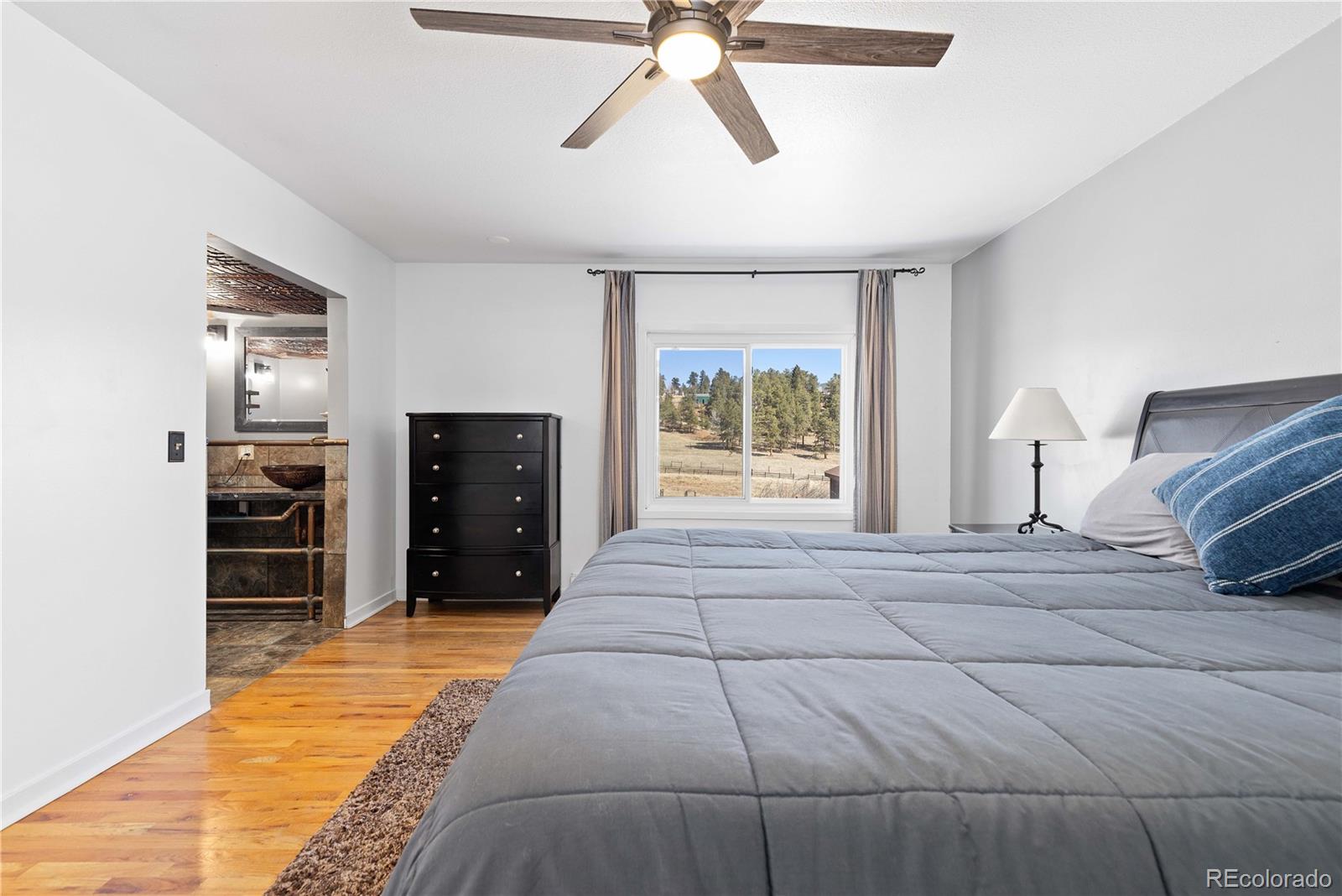 1819 Nova Road Pine, CO 80470 - Photo 18 of 41 Gallery Image 18