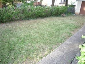 2310 Brownsville Road Carrick, PA 15210 - Photo 15 of 25 SIDE YARD