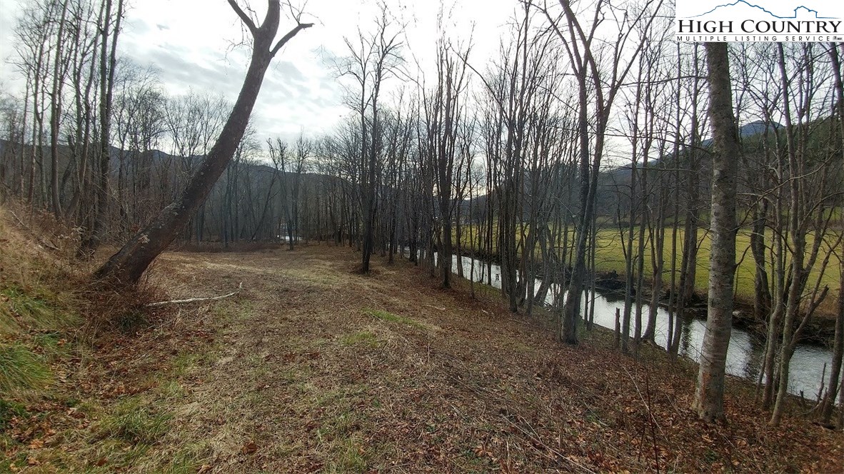 88 W Road Creston, NC 28615 - Photo 5 of 15 Gallery Image 5