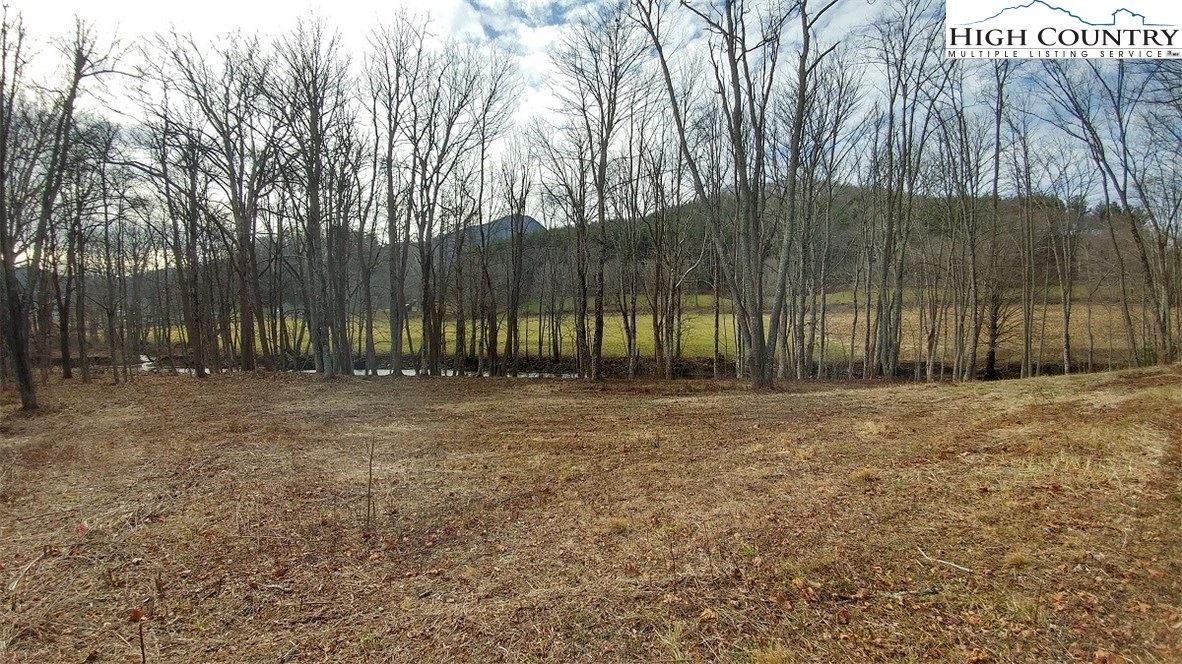 88 W Road Creston, NC 28615 - Photo 7 of 15 Gallery Image 7