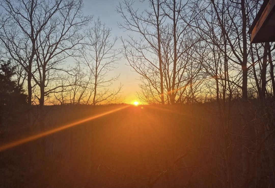 3519 Owl Hollow Road Linden, TN 37096 - Photo 37 of 40