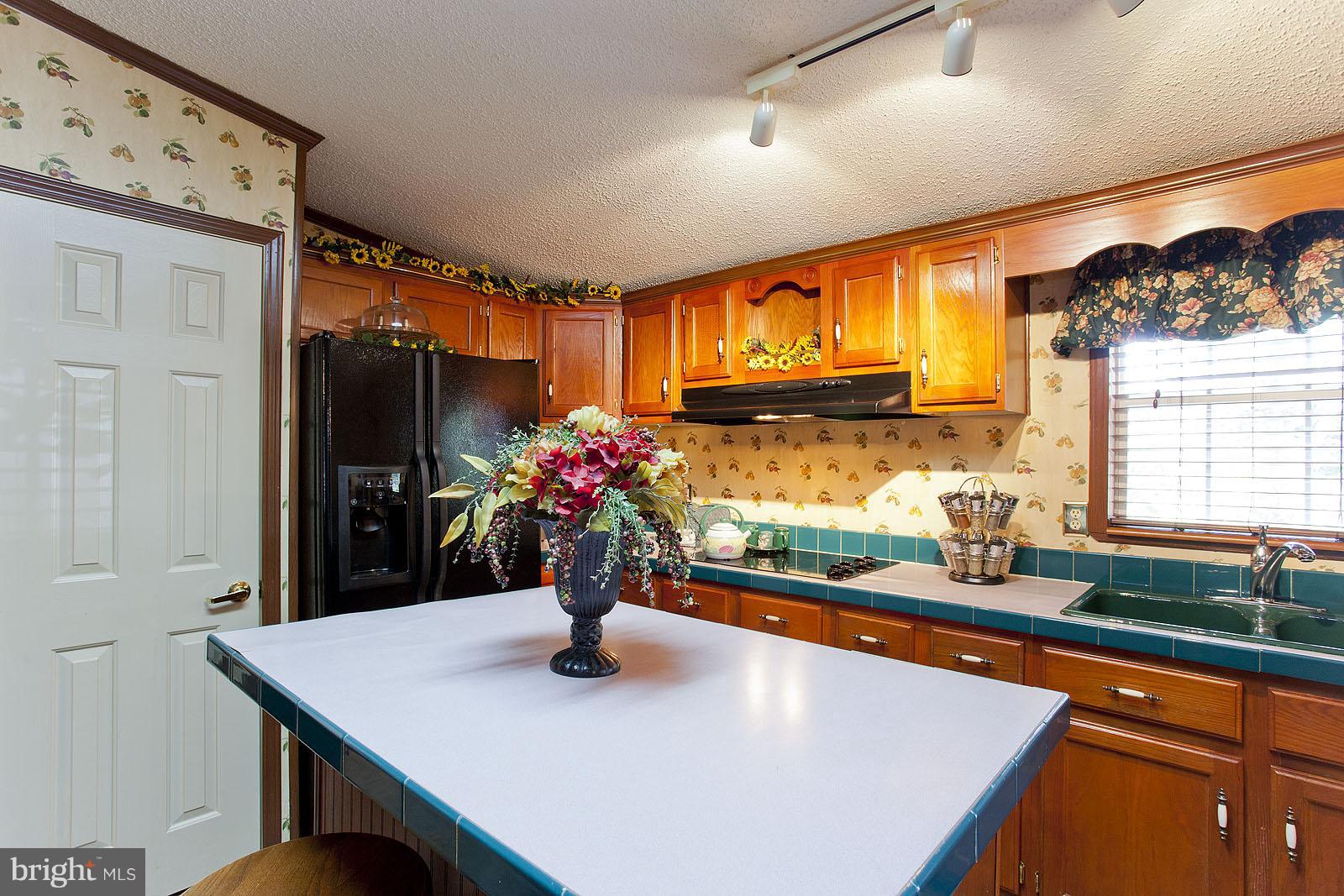 13072 Old Stillhouse Road Boston, VA 22713 - Photo 13 of 30 Kitchen