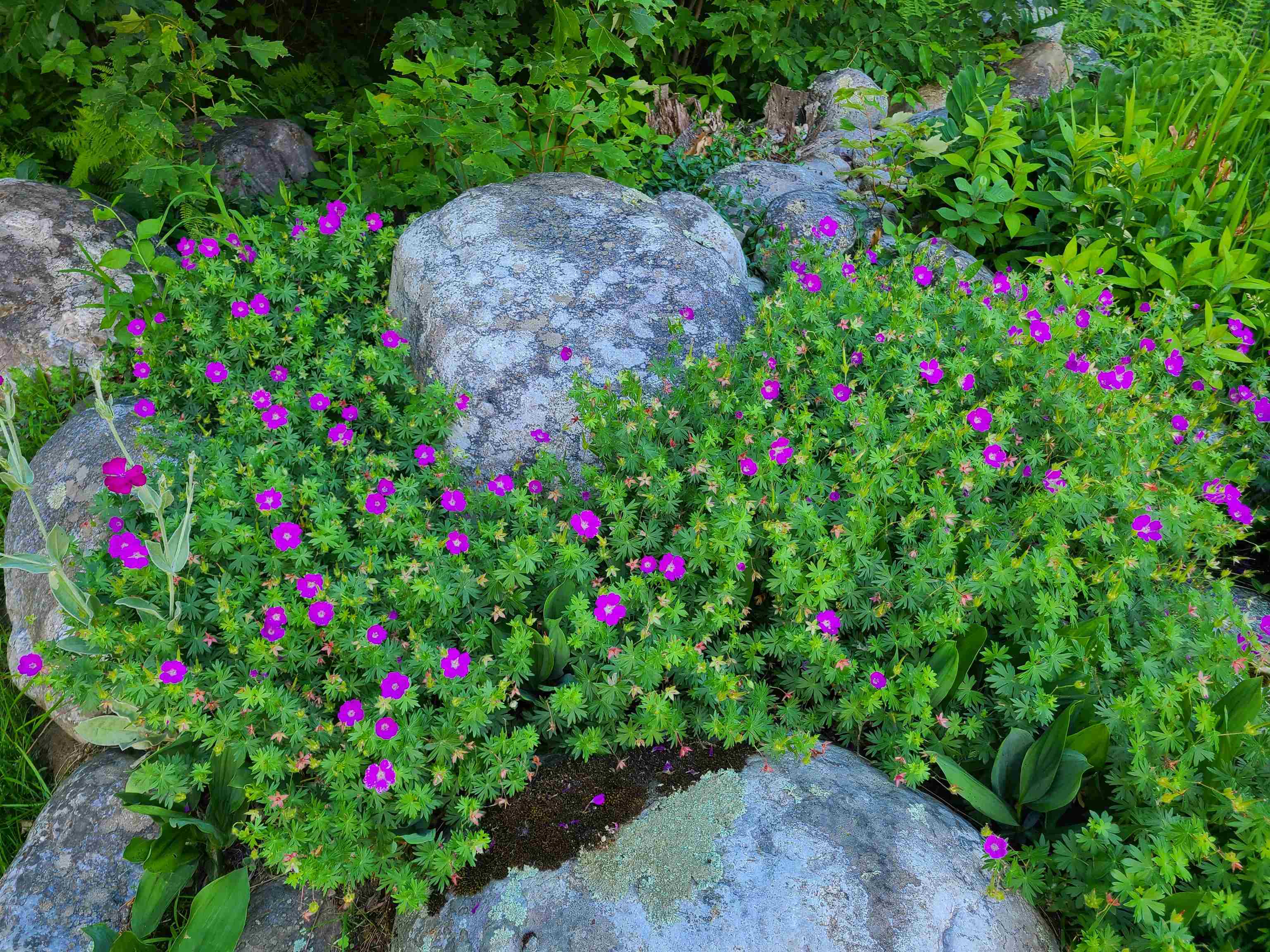 464 Hillcrest Road Manchester, VT 05255 - Photo 26 of 28 Gallery Image 26