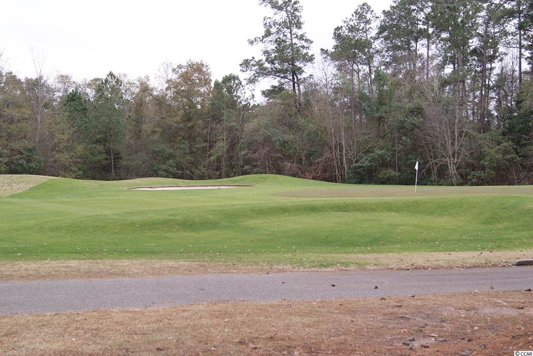 4431 Maypop Trail Murrells Inlet, SC 29576 - Photo 14 of 14 Gallery Image 14