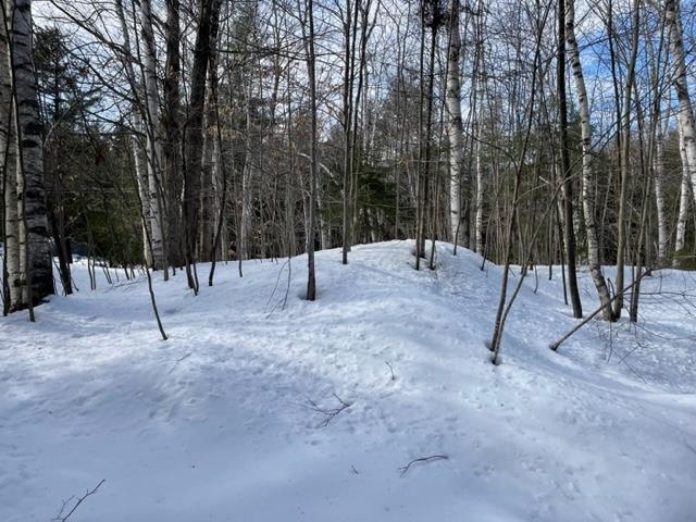 341 Chapel Hill Road Whitingham, VT 05361 - Photo 3 of 8