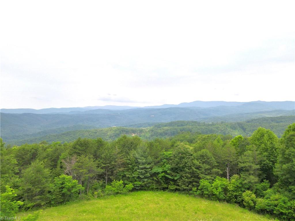 Tbd White Oak Road Purlear, NC 28665 - Photo 1 of 47 Gallery Image 1
