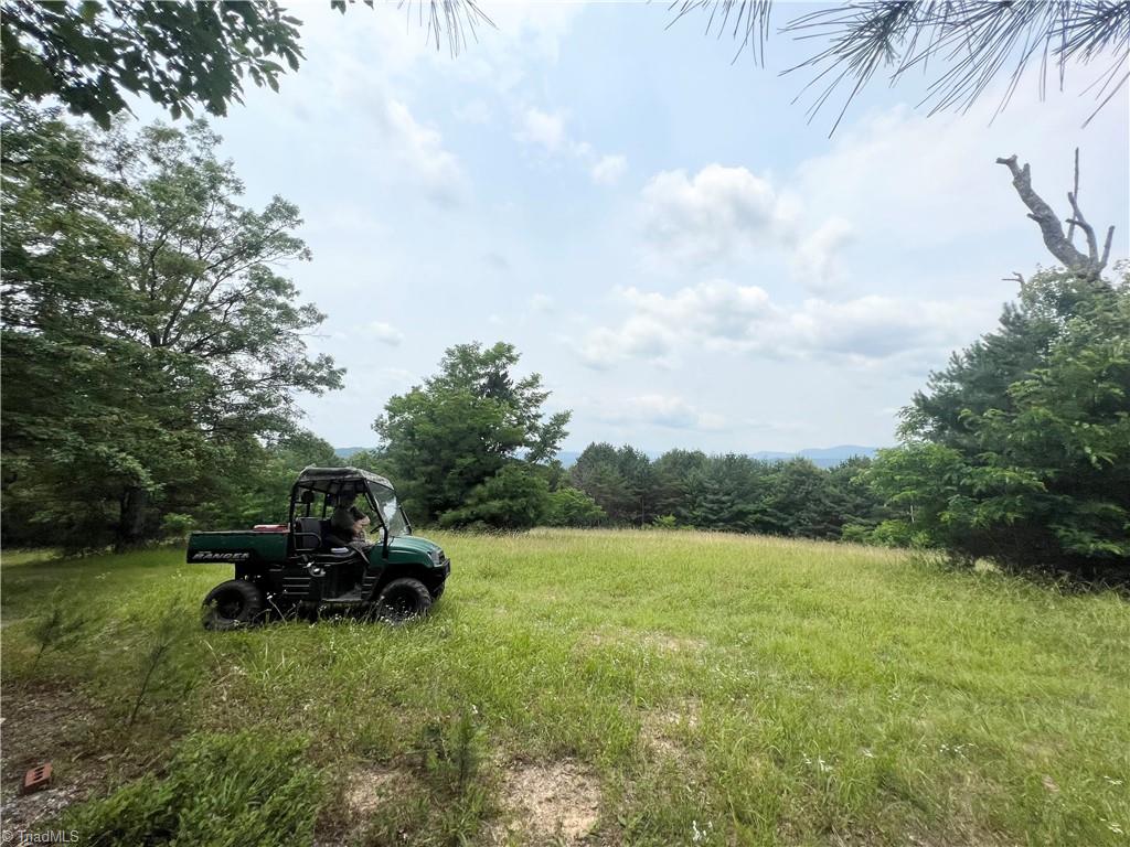 Tbd White Oak Road Purlear, NC 28665 - Photo 17 of 47 Gallery Image 17