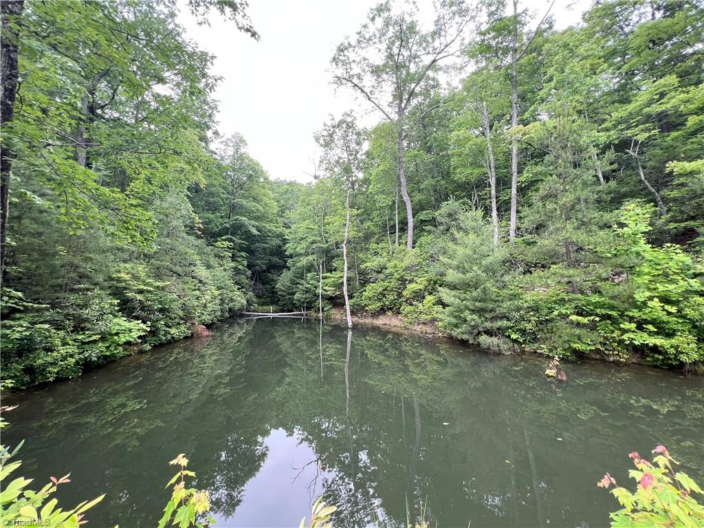 Tbd White Oak Road Purlear, NC 28665 - Photo 18 of 47 Pond
