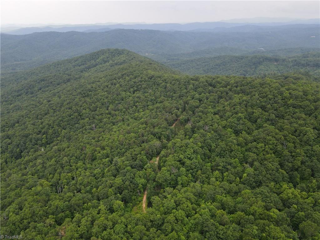 Tbd White Oak Road Purlear, NC 28665 - Photo 20 of 47 Gallery Image 20