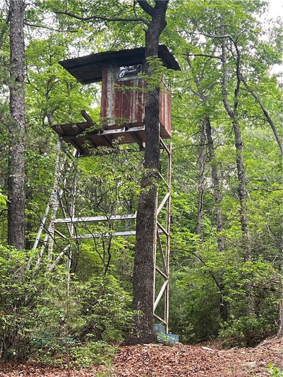 Tbd White Oak Road Purlear, NC 28665 - Photo 22 of 47 Gallery Image 22