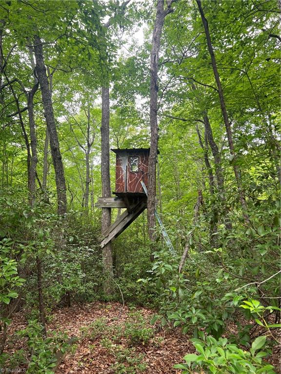 Tbd White Oak Road Purlear, NC 28665 - Photo 23 of 47 Gallery Image 23