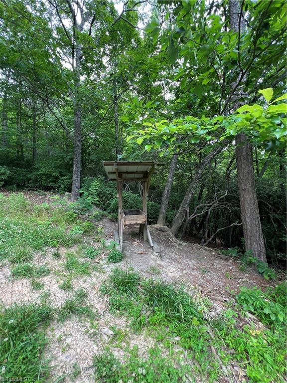 Tbd White Oak Road Purlear, NC 28665 - Photo 24 of 47 Gallery Image 24
