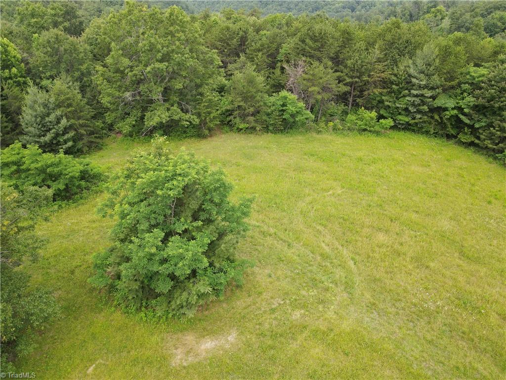 Tbd White Oak Road Purlear, NC 28665 - Photo 25 of 47 Gallery Image 25